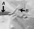 Storage of side arm