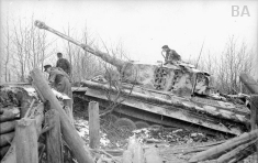 Tiger 223 crosses a trench 