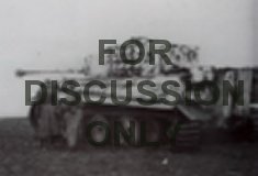 Thumbnail image: Camouflaged Mid Tiger