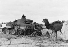 Thumbnail image: Tiger 111 and a camel