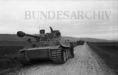 Thumbnail image: Tiger 11 prepares for Ochsenkopf