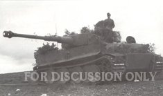 Thumbnail image: Tiger 122 camouflaged