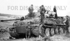 Thumbnail image: Tiger 122 on a field stop