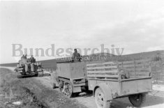 Thumbnail image: Tiger 131 and a captured halftrack