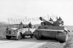Thumbnail image: Tiger 131 and Col. Lang