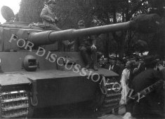 Thumbnail image: Tiger 142 seen in Tunis
