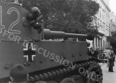 Thumbnail image: Tiger 142 newly arrived in Tunis
