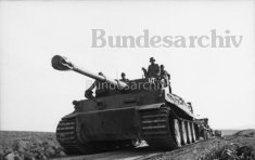 Thumbnail image: Tiger 142 in Operation Ochsenkopf