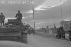 Thumbnail image: Tiger 223 crossing the Medjerda