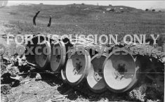 Thumbnail image: Wheels of Tiger 843