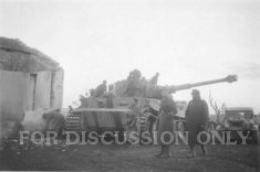 Thumbnail image: Tiger 122 by a ruined house