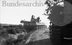 Operation Eilbote : Tiger 121 crosses a stream 