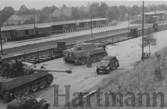 Thumbnail image: Delivery of new Tigers