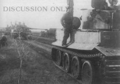 Thumbnail image: Tiger 324 on the move