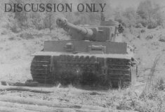 Thumbnail image: Front of Tiger 324