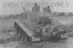 Thumbnail image: Tiger 323 emerges from a stream