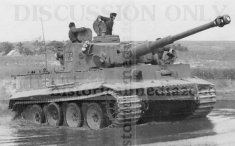 Thumbnail image: Tiger 323 in a stream