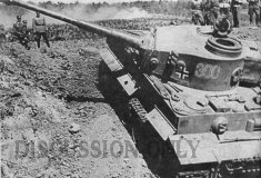 Thumbnail image: Tiger 300 in the ditch