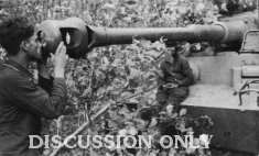 Thumbnail image: Checking the gun of Tiger 312