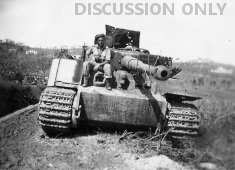 Tiger 200 wrecked 