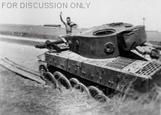 Thumbnail image: Joker on Tiger 121