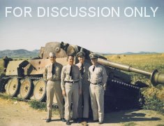 Thumbnail image: Tiger 121 in colour