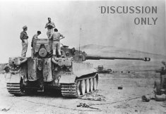 Thumbnail image: Tiger 131 is examined