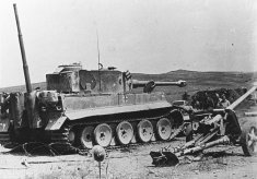 Tiger 131 and a Pak 40 
