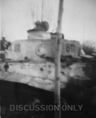 Thumbnail image: Rear of Tiger 811