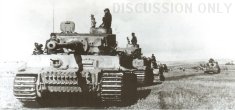 Thumbnail image: Tiger S33 in the field