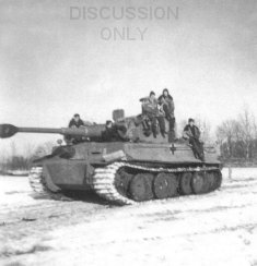 Thumbnail image: Tiger "832" in snow