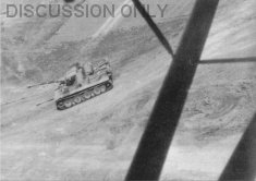 Thumbnail image: Tiger "S21" seen from a plane