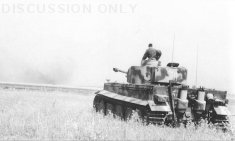 Thumbnail image: Tiger "S01" in action