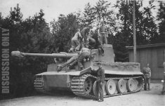 Thumbnail image: Training with Tiger 250055