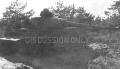 Thumbnail image: The end of Tiger 13
