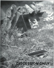 Thumbnail image: Tiger 201 bulldozed into a stream