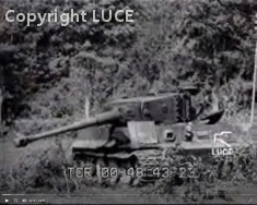 Thumbnail image: Tiger 334 abandoned