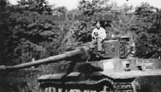 Thumbnail image: Posing on Tiger 334