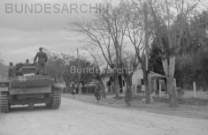Thumbnail image: Panzer III in Djedeida