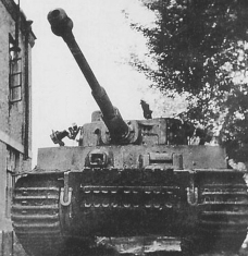 Thumbnail image: Tiger 314 by a house
