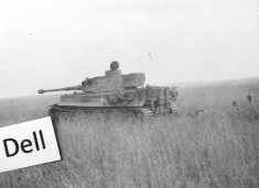 Thumbnail image: Tiger 300 in a field