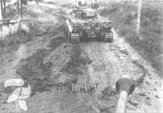 Thumbnail image: Tiger 241 on mud
