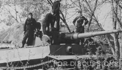 s.Pz.Abt. 505, early
