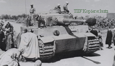 Tiger '724', 10th Pz.Div., Tunisia