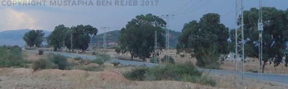 Djebel Bou Mous seen from the south