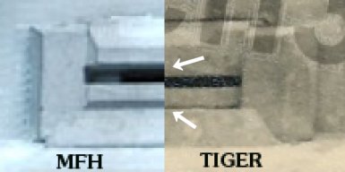 Visor compared to a real Tiger