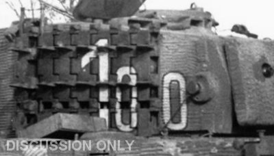 Tiger 100