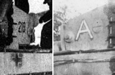 Surplus Tiger IDs Surplus Tiger IDs