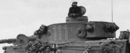 Tiger 111